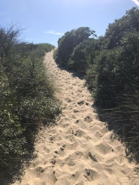 Duinstrand בורג האמסטד מראה חיצוני תמונה